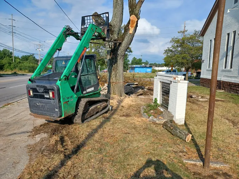 Clearing around the tree line