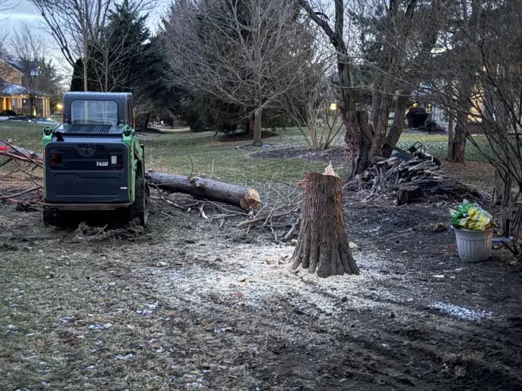 Landscaping work by Team Freeman Turf Care in Dayton, Ohio