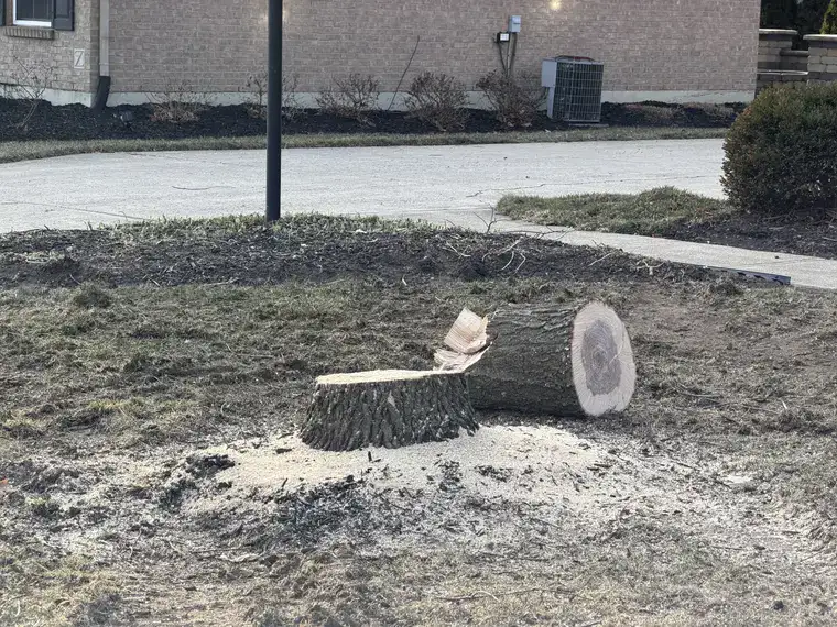 Landscaping work by Team Freeman Turf Care in Dayton, Ohio