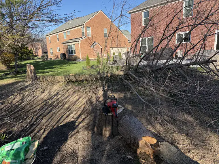 Landscaping work by Team Freeman Turf Care in Dayton, Ohio