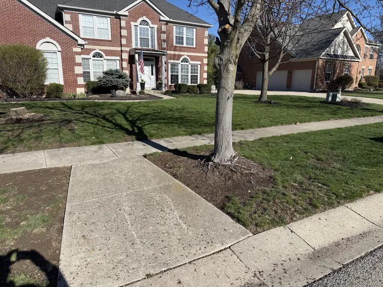 Landscaping work by Team Freeman Turf Care in Dayton, Ohio