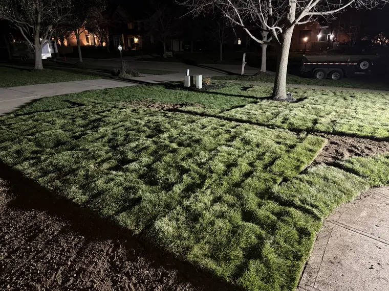 Landscaping work by Team Freeman Turf Care in Dayton, Ohio