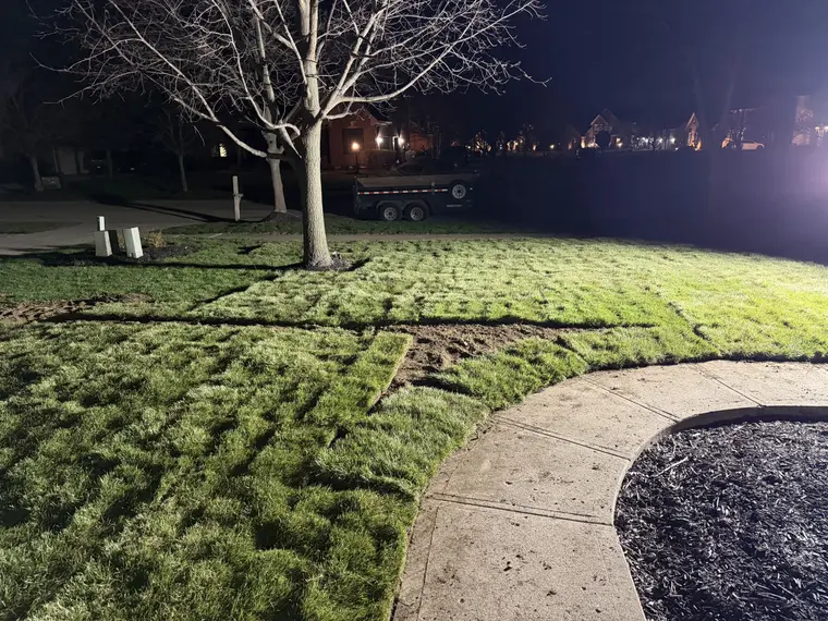Landscaping work by Team Freeman Turf Care in Dayton, Ohio