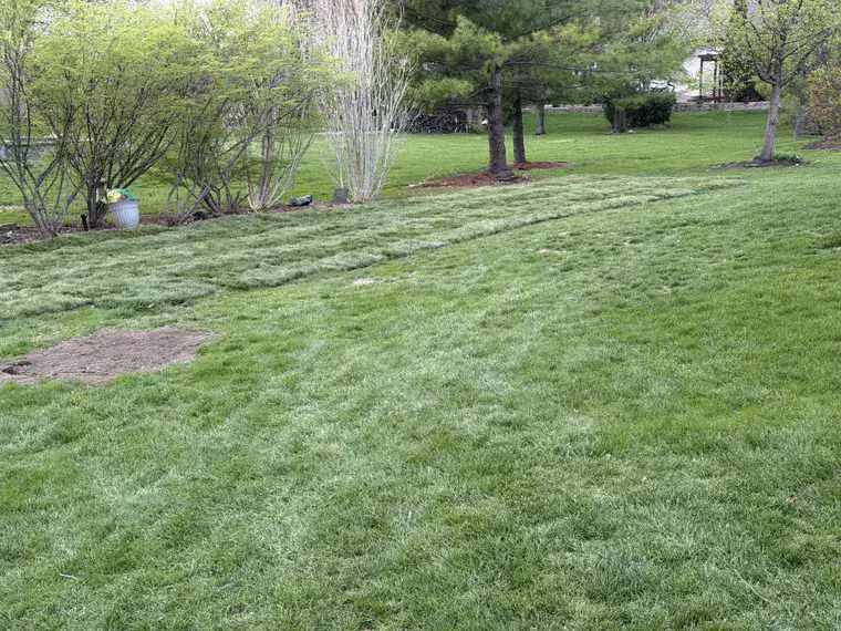 Landscaping work by Team Freeman Turf Care in Dayton, Ohio