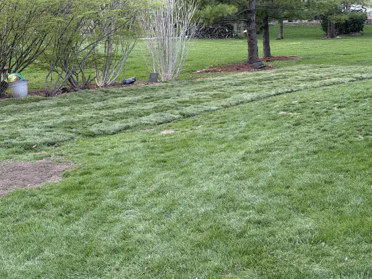 Landscaping work by Team Freeman Turf Care in Dayton, Ohio