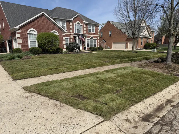 Sod laid and edged along the walk