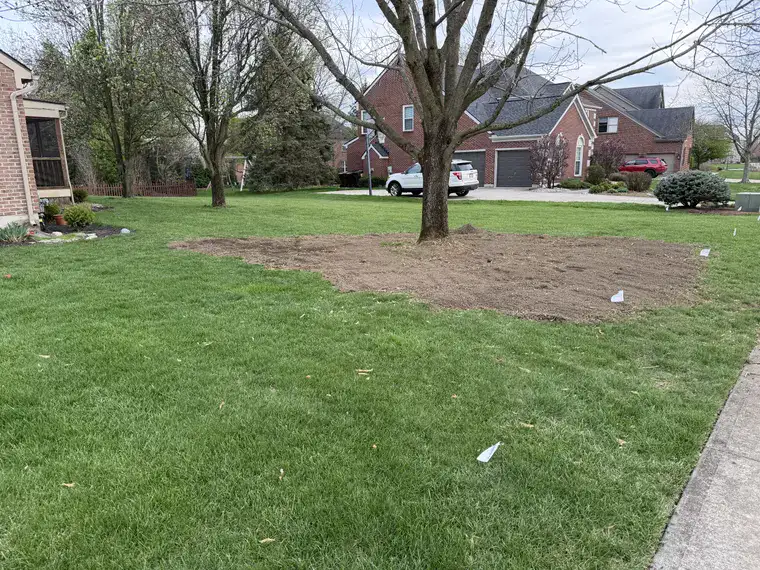 Landscaping work by Team Freeman Turf Care in Dayton, Ohio