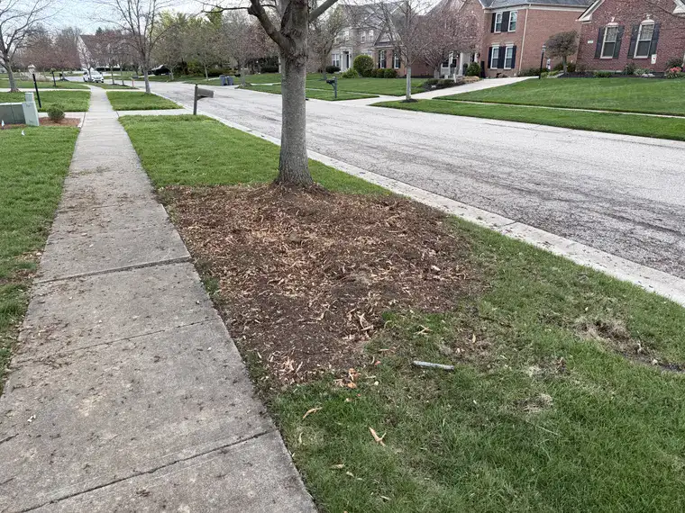 Landscaping work by Team Freeman Turf Care in Dayton, Ohio