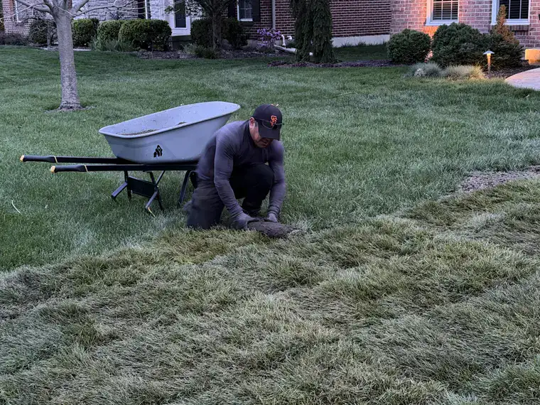 Landscaping work by Team Freeman Turf Care in Dayton, Ohio