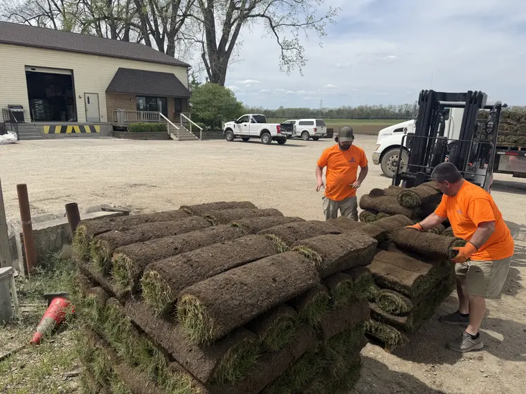 Pallets of sod on site