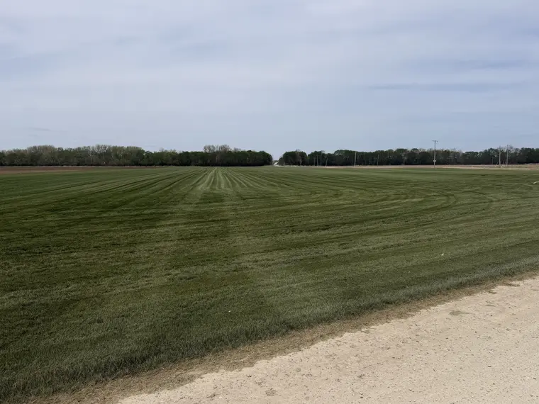 Landscaping work by Team Freeman Turf Care in Dayton, Ohio