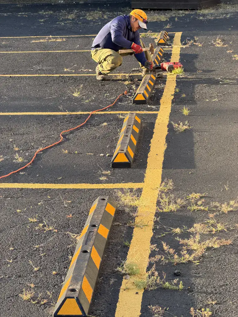Commercial work by Team Freeman Turf Care in Dayton, Ohio