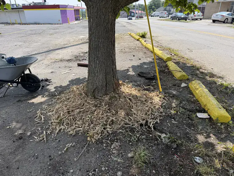 Landscaping work by Team Freeman Turf Care in Dayton, Ohio