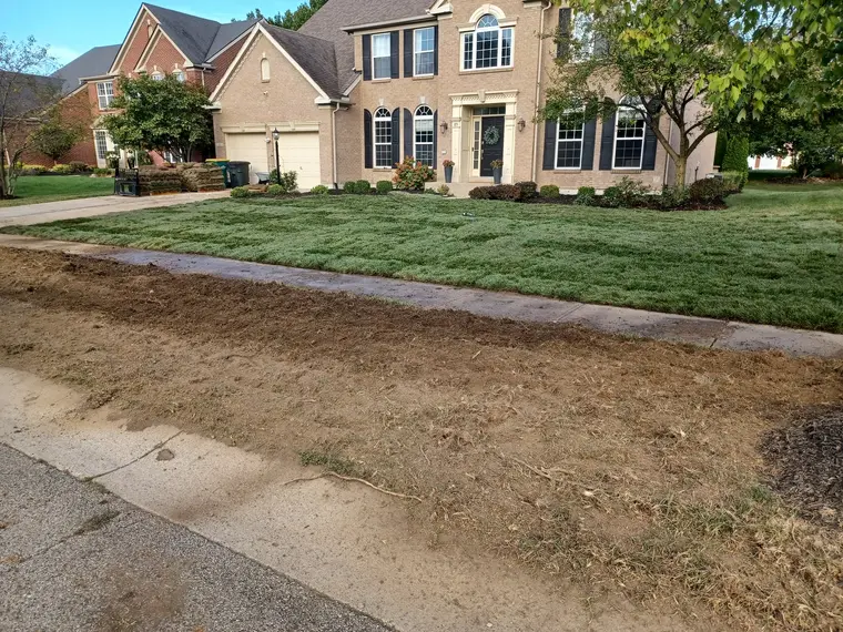 Fresh sod, front to curb